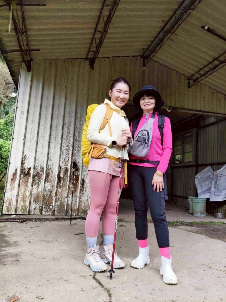 【苗栗大湖】山頂展望佳等到雲海。 馬那邦山登山步道_2806789