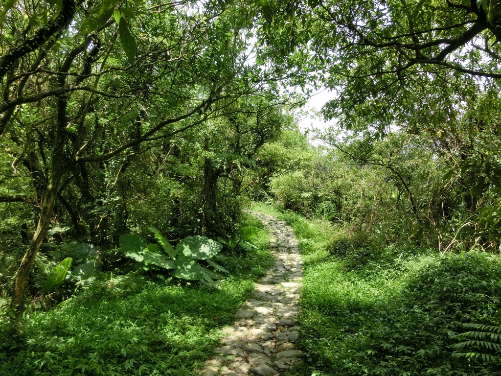 風櫃嘴．頂山．石梯嶺．擎天崗_94378