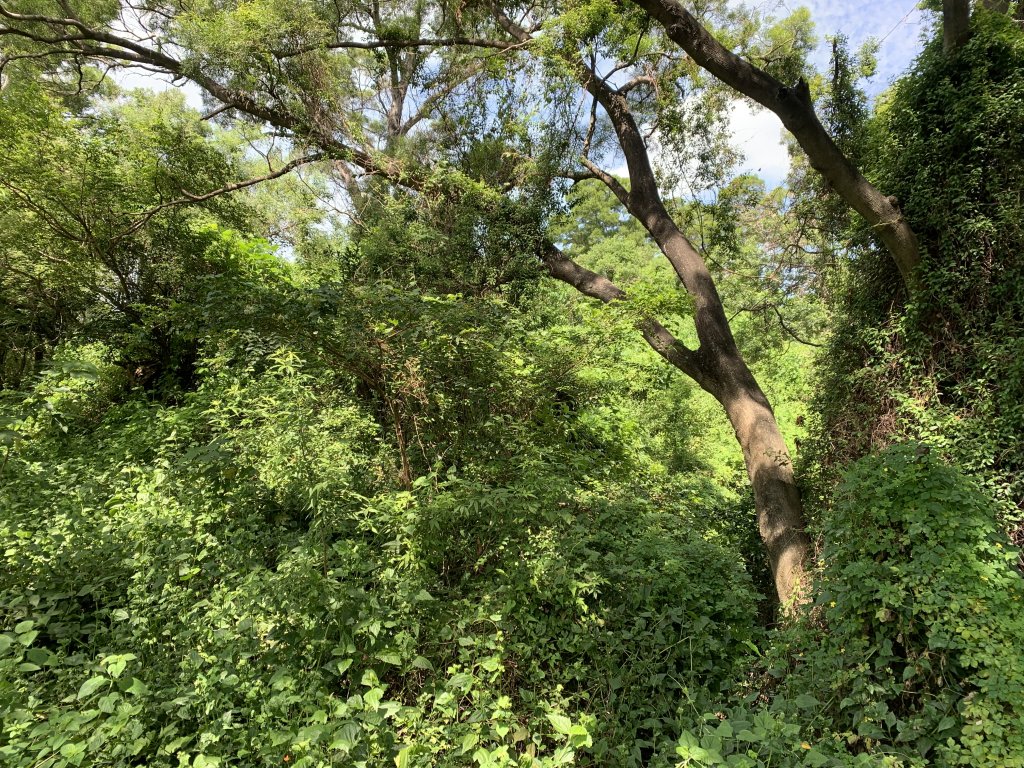 20240824屏東千金湖山_2581906