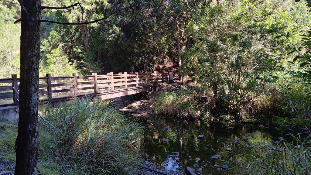 榛山景觀平台_2918096