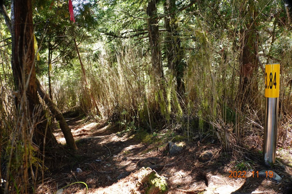 南投 信義 西巒大山_1922316