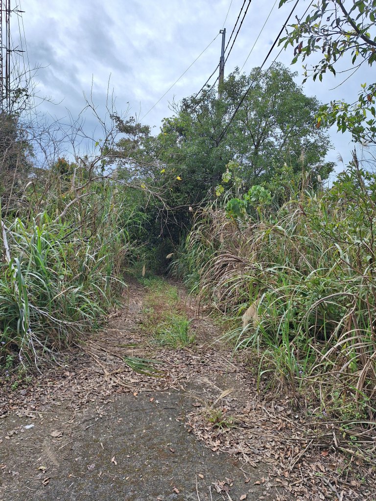 仙山古道群峰O型_2693722