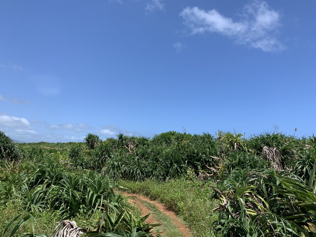 20240917屏東基石-埔頂_2599329