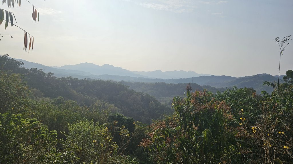 大台中大縱走南觀音山頭嵙山三汀山段_2454533