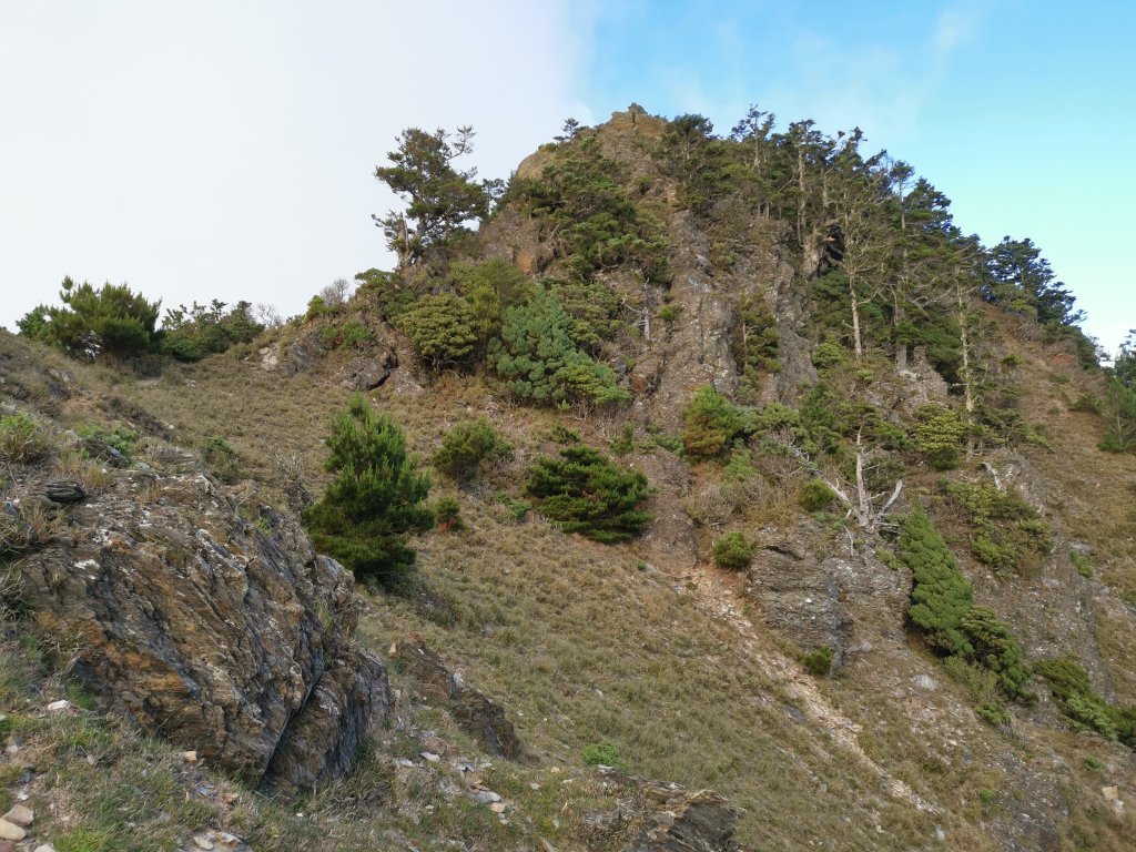 2022-07-21八大秀_1789178