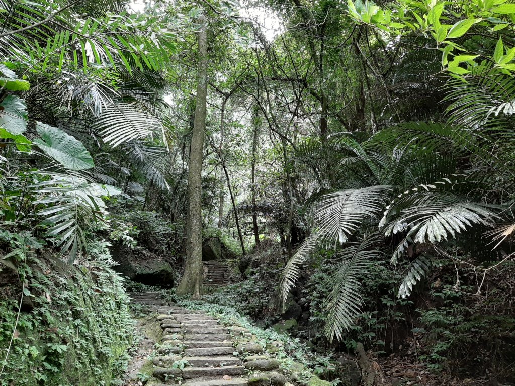 【跟著寶寶漫步參山】獅頭山五連走_1136044