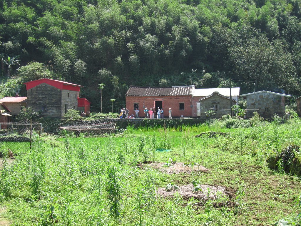 深坑向天湖古道_1957675