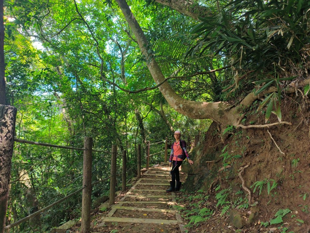 小東河上大龍山_2247132