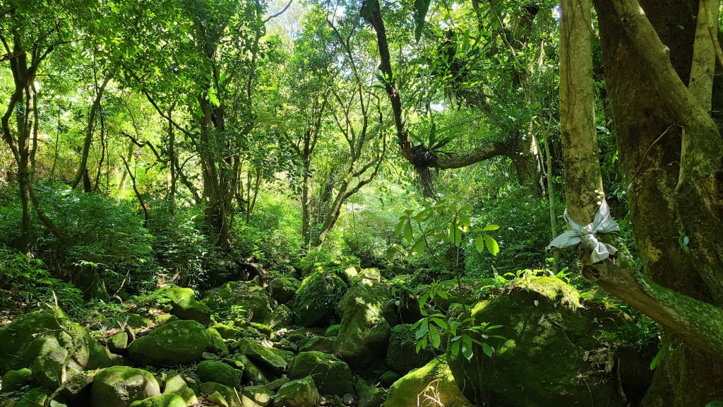 2022-0630 坪頂古圳雙溪古道O型_1750963