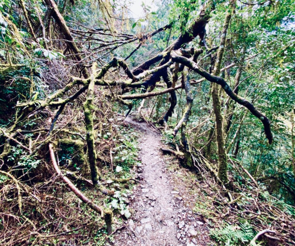 下雨也要衝的加羅湖_868627
