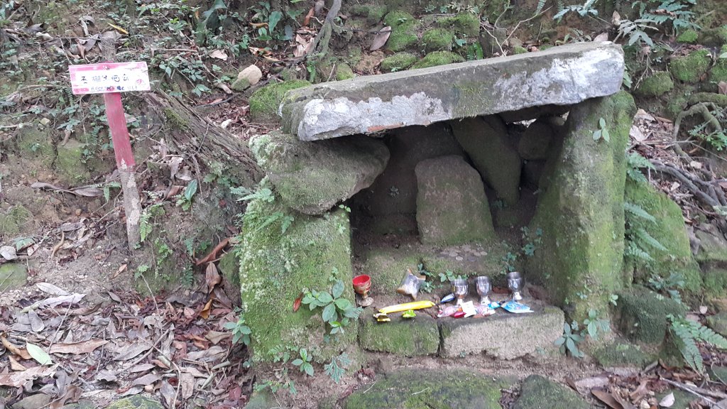 頂子寮山_1779836