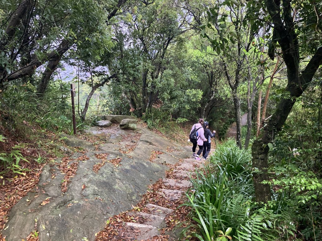 南勢角山_2468487