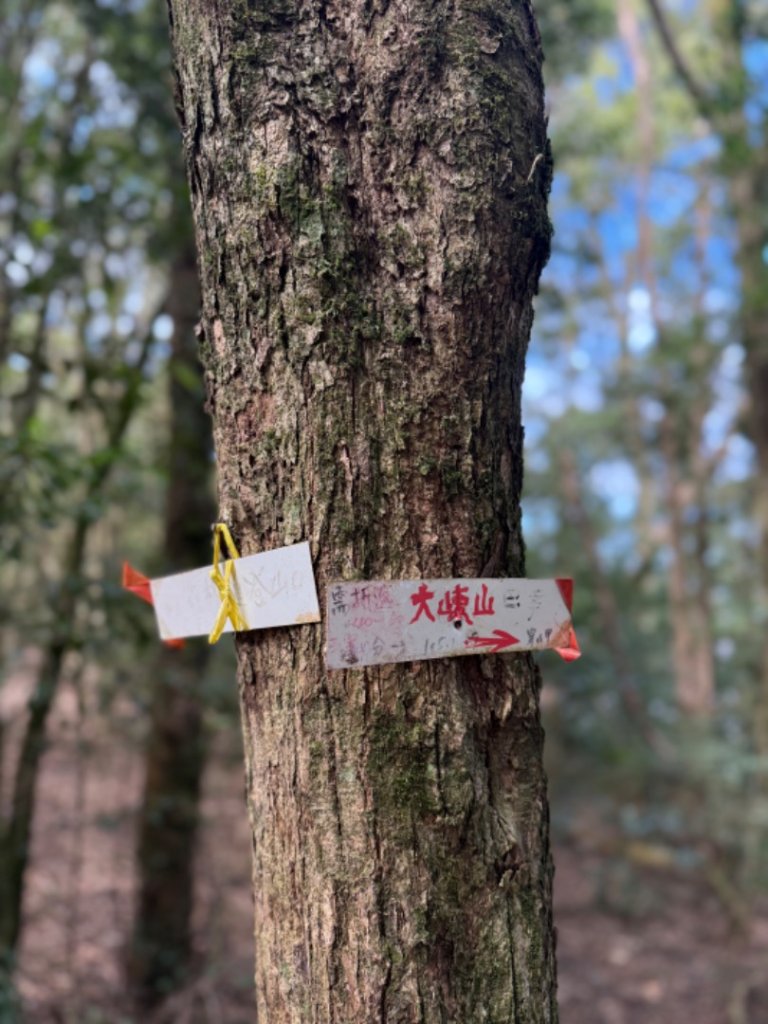 鳶嘴西稜上鳶嘴山-醜崠三崠山連走_2652211