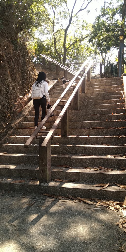 埔里虎子山步道 遛狗路線~_2028958