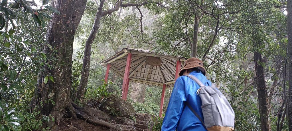 20240121_仙山登山步道封面圖