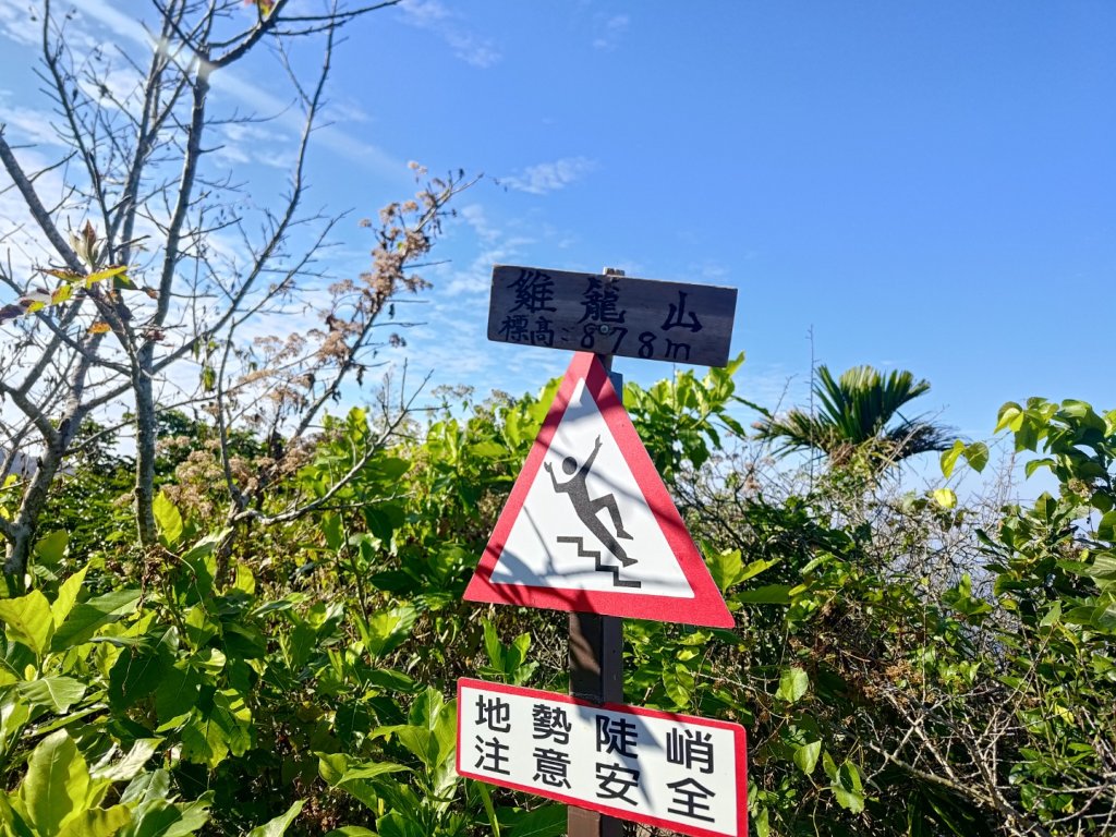 植物照片雞籠山九龍山大凍山_2395698