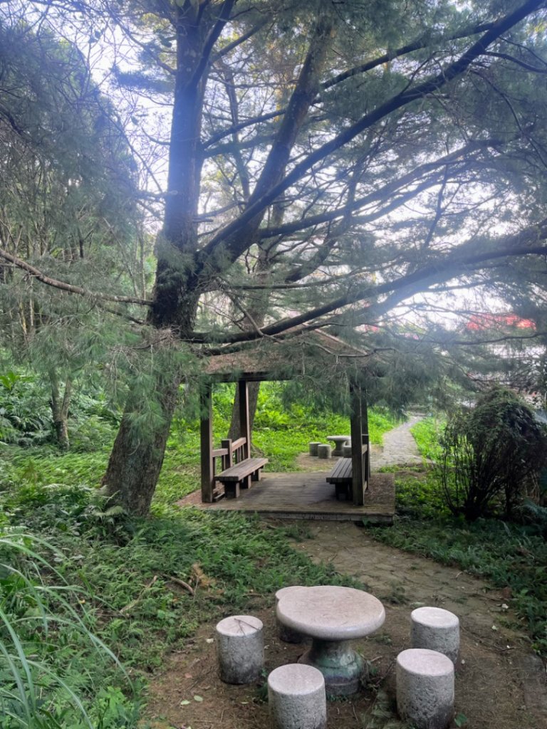 大山背_2736383