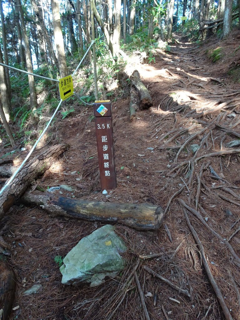 2022年02月06日台中谷關七雄第二熊~馬崙山-過年吃年菜、馬崙瘦下來_1604236