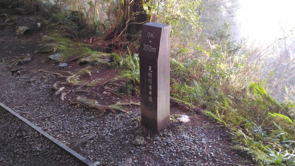 20190124太平山見晴懷古步道_512497