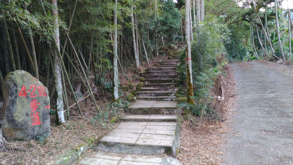 雲嘉五連峰_222263