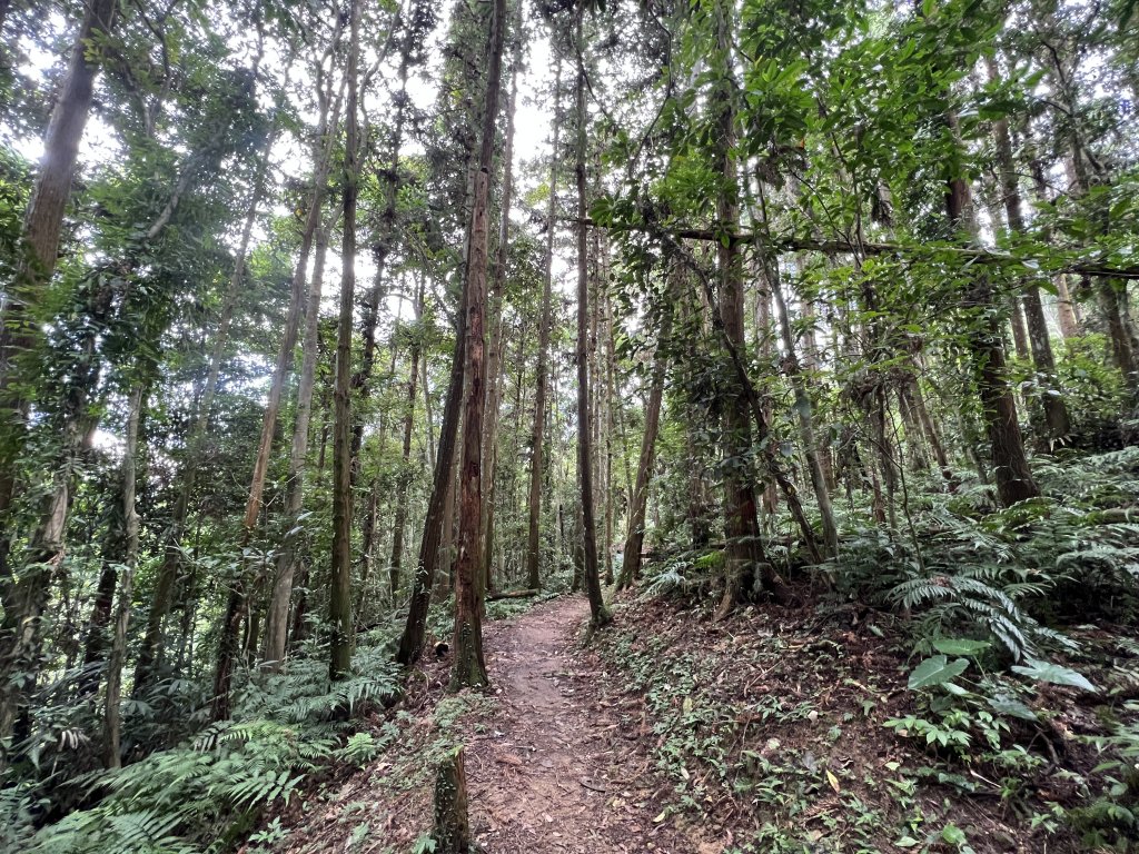 2023-08-13 馬那邦山（馬拉邦山）_2251256