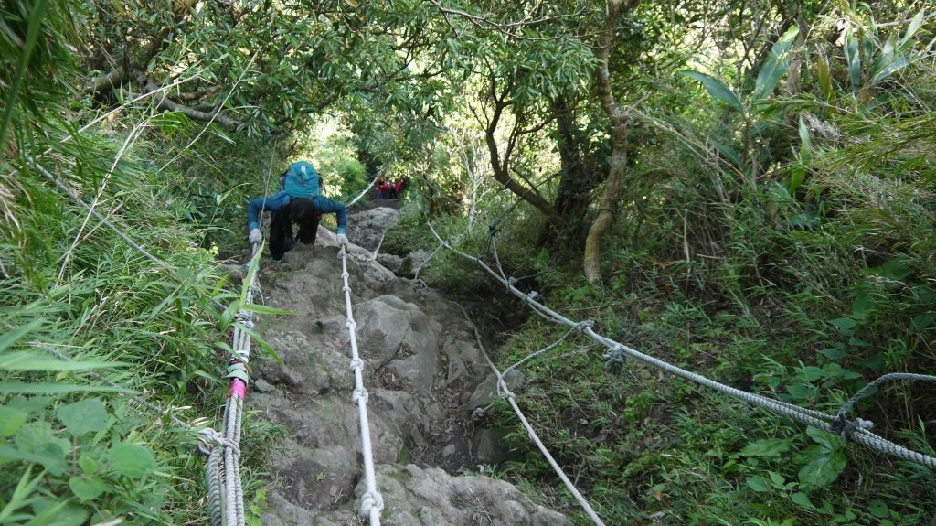 觀音山登山健行趣(小百岳05號)_1632425
