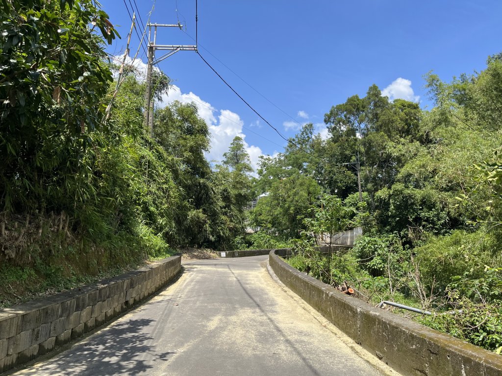 [百山百鳥尋旅-03/15] 2025_0817 虎形山公園步道_2863220