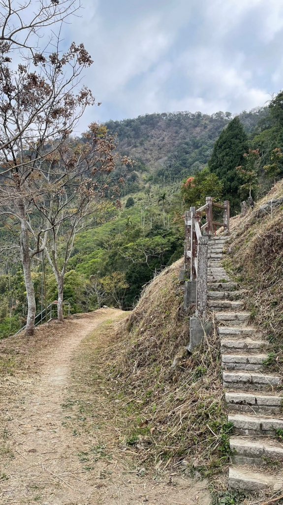 230312-撿一座被遺忘的小百岳#067 竹子尖山。美美兔階梯陡上稜線O型環走一圈。_2116531