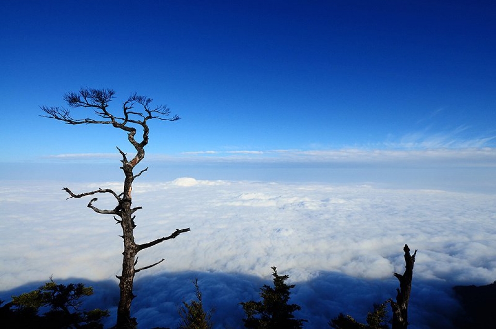 高山風景集!~_23915