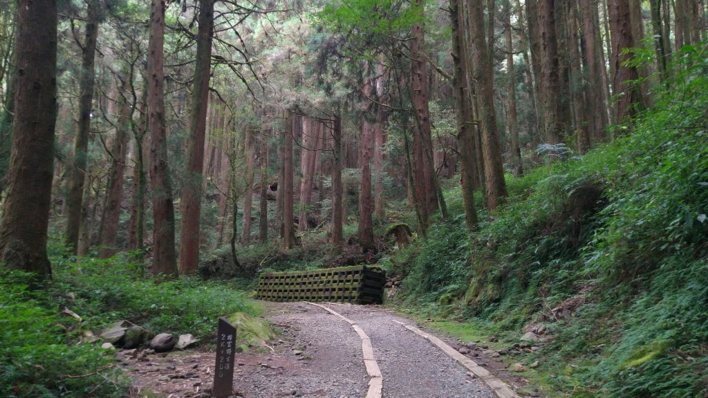 嘉義 阿里山 特富野古道(0K~2.7K)_1486842