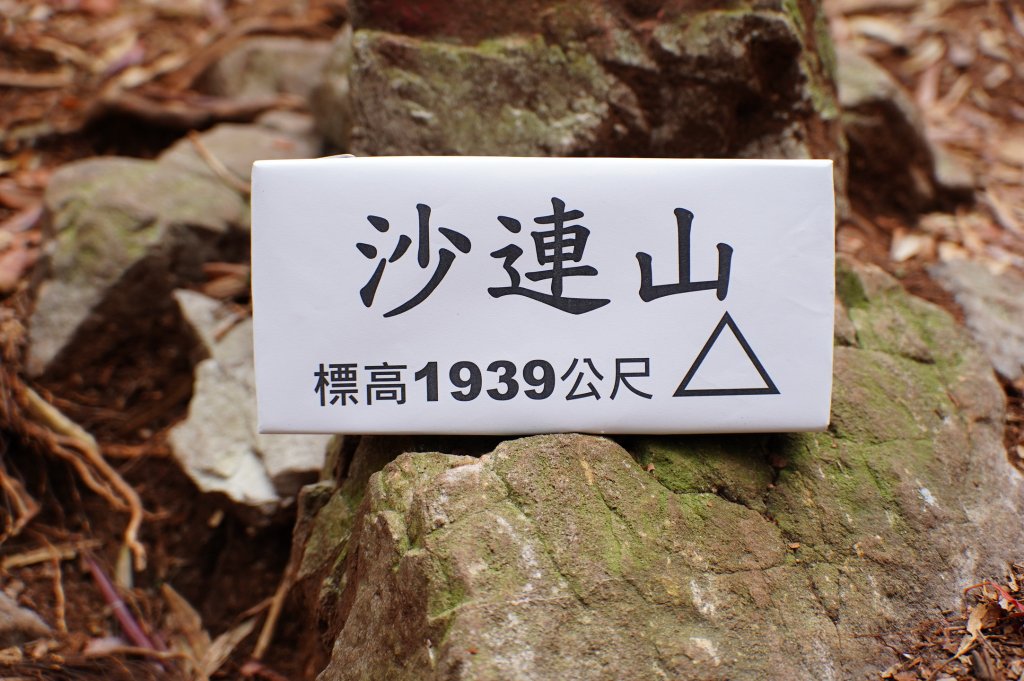 臺中 和平 橫嶺山、沙蓮山、笛吹山_2974936