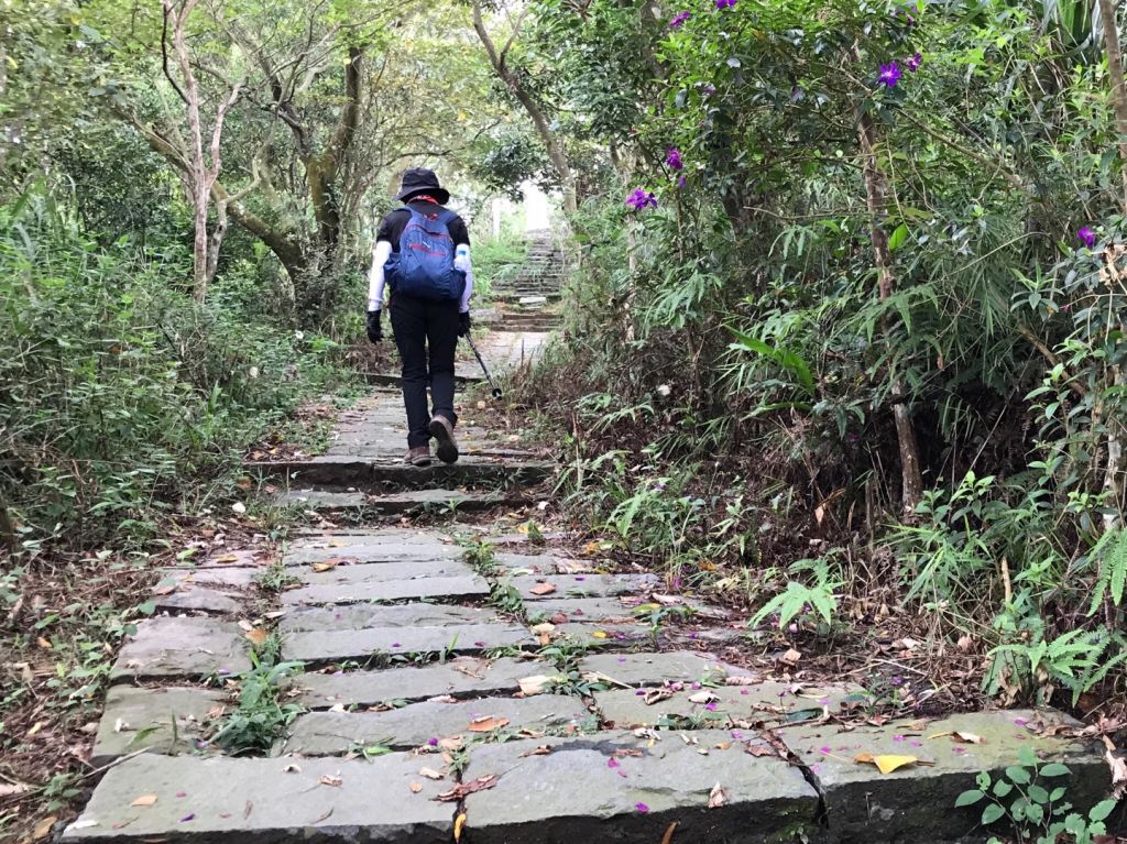 飛鳳山觀日坪連走中坑山_388325
