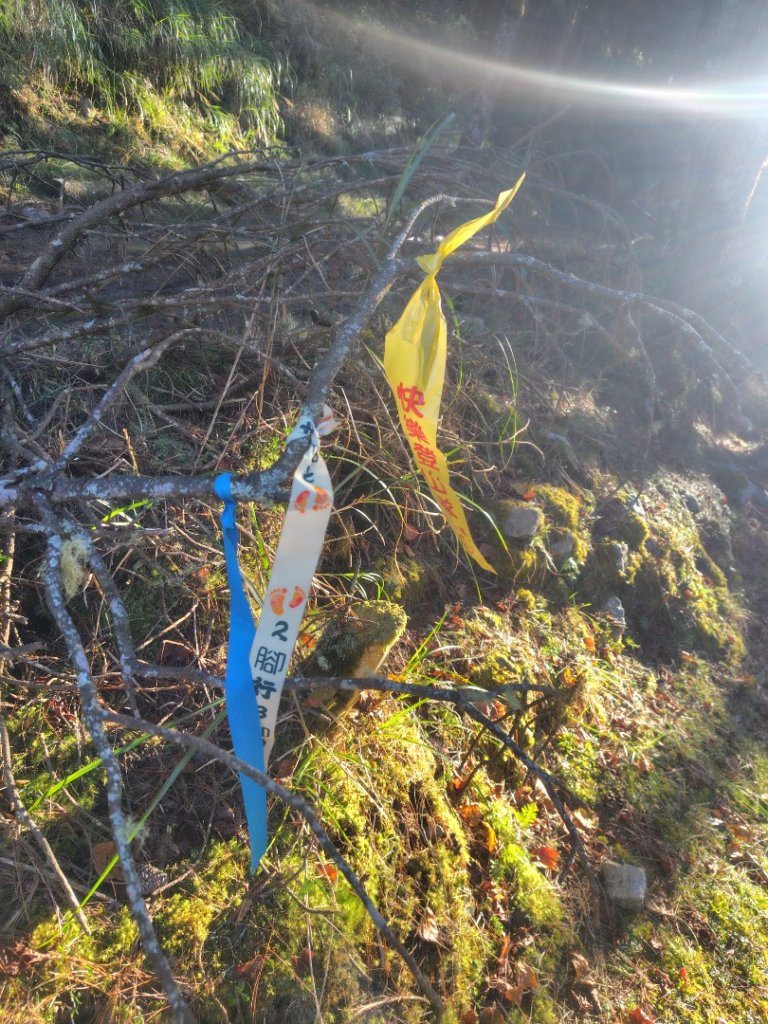 大雪山森林遊樂區 遊客中心 小神木 北三錐山 平石山西北峰_2952975
