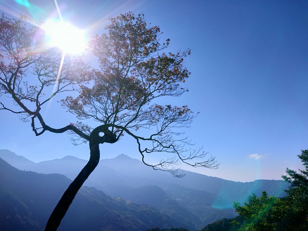 新竹天際線 比(南)比大鳥_1960466