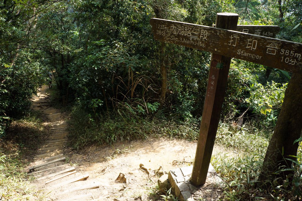 金面山步道_731805