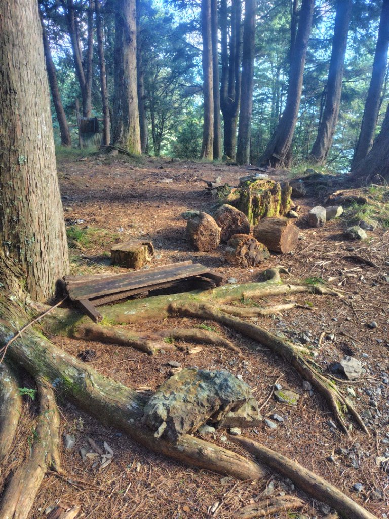 大雪山森林遊樂區 遊客中心 小神木 北三錐山 平石山西北峰_2952953