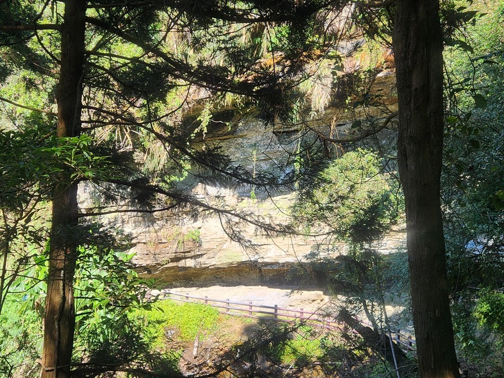 雲嶺之丘連走木馬古道O繞_2665872