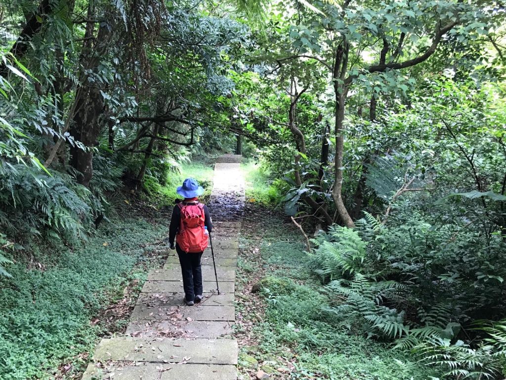 新平溪媒礦園區上五分山_396145