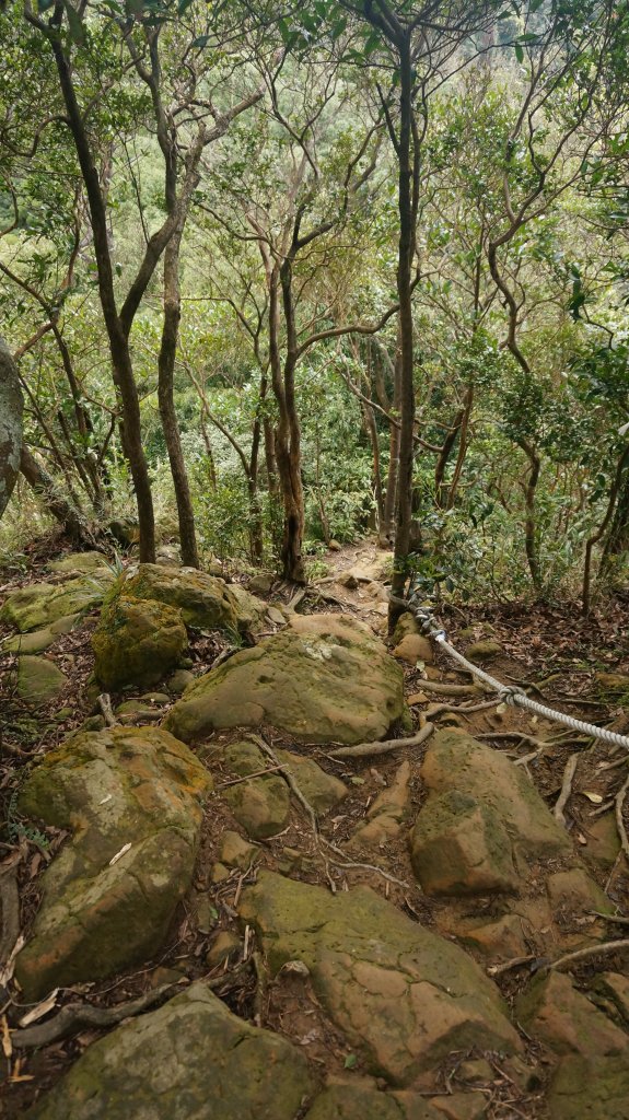 三峽(長壽山)→土城(天上山) 縱走_1233086