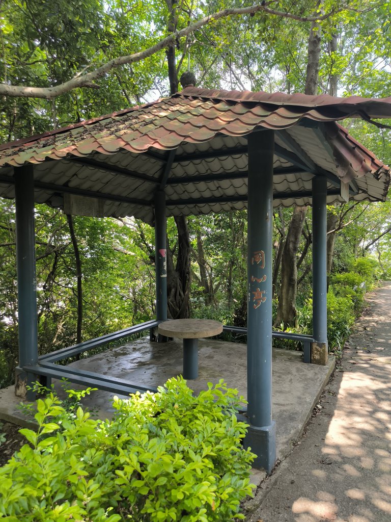 20250809樹迴縱走_2855049