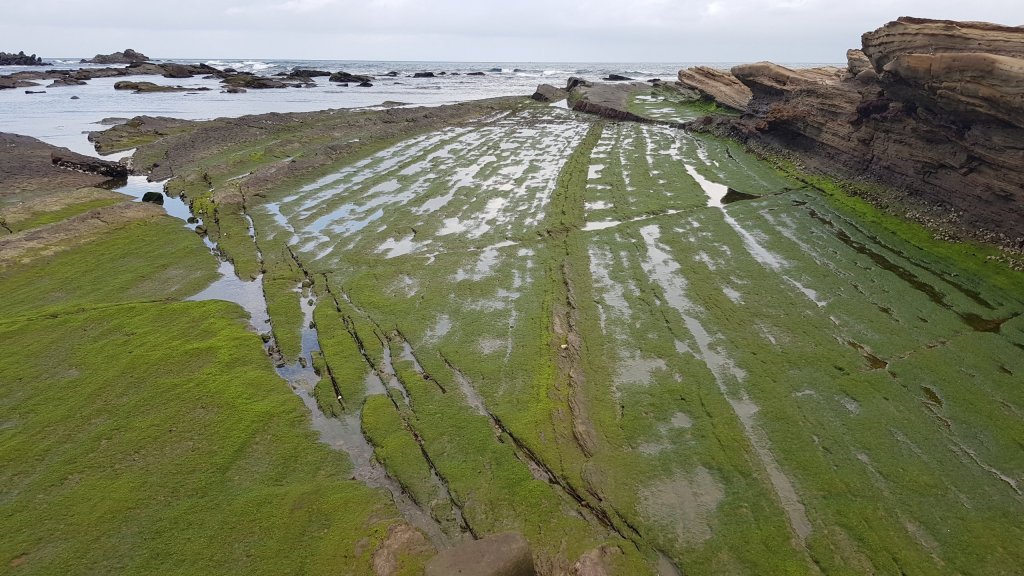 南子吝步道_20181106_464443