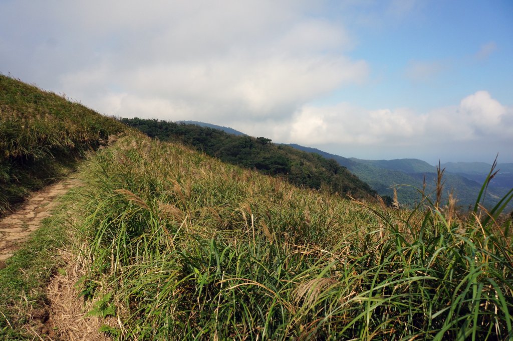 頂山石梯嶺步道_595500