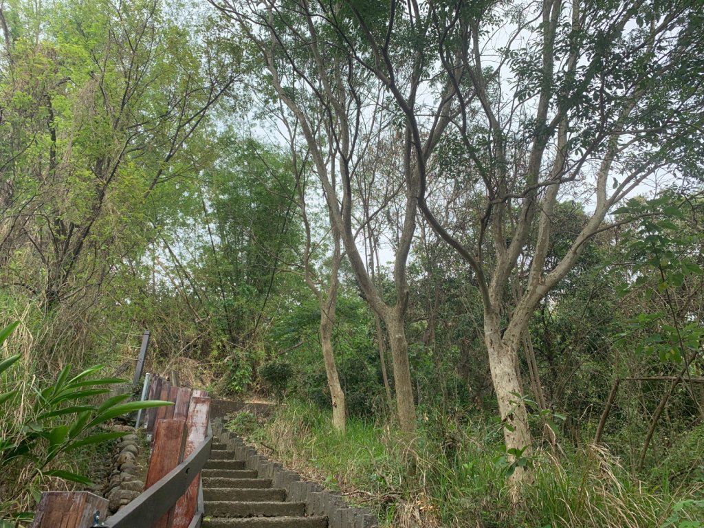 阿罩霧山、中心瓏步道_2768913