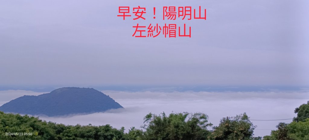 陽明山再見雲海&雲瀑5/23 #五色鳥育雛封面圖