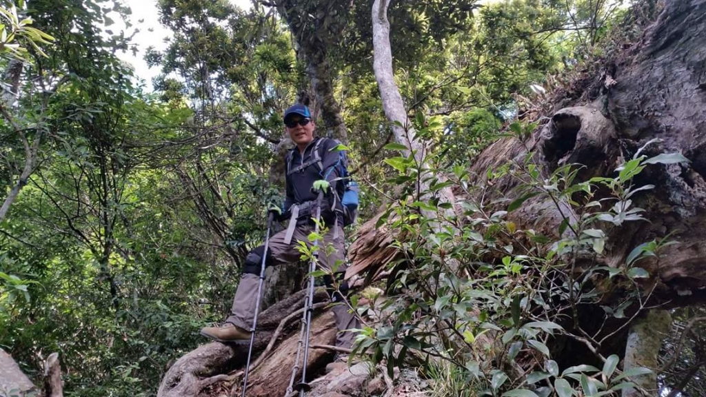 【桃園／復興】北橫夫婦山_20340