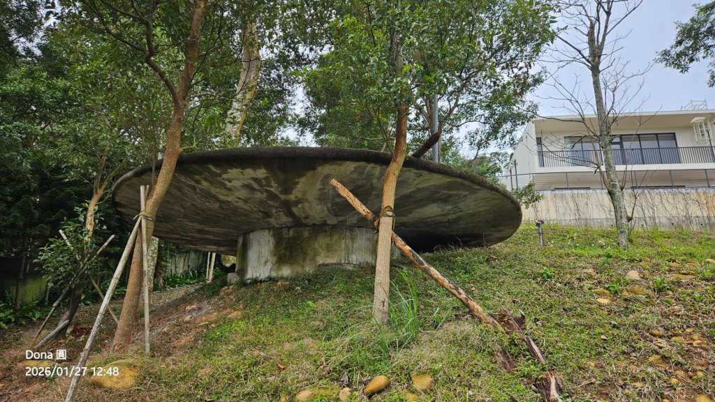 20260127三通嶺山.三義山(大桁茂山).慈濟山.大坪山大O走_2989951
