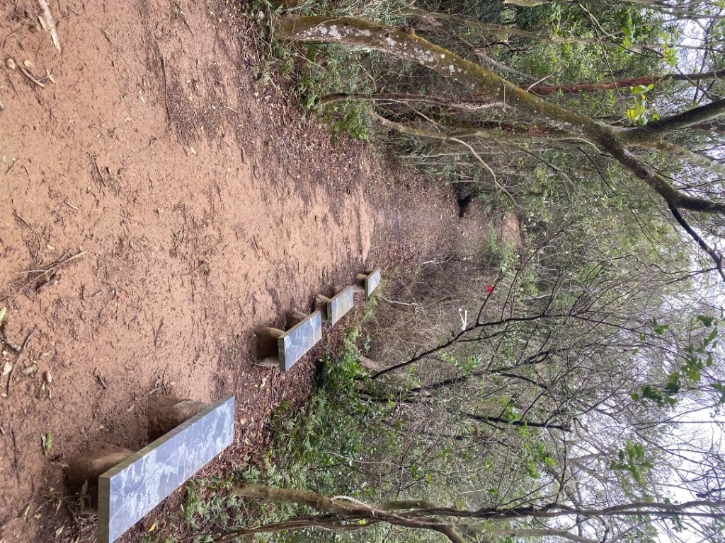 苗栗三義-三員縱走_2616476