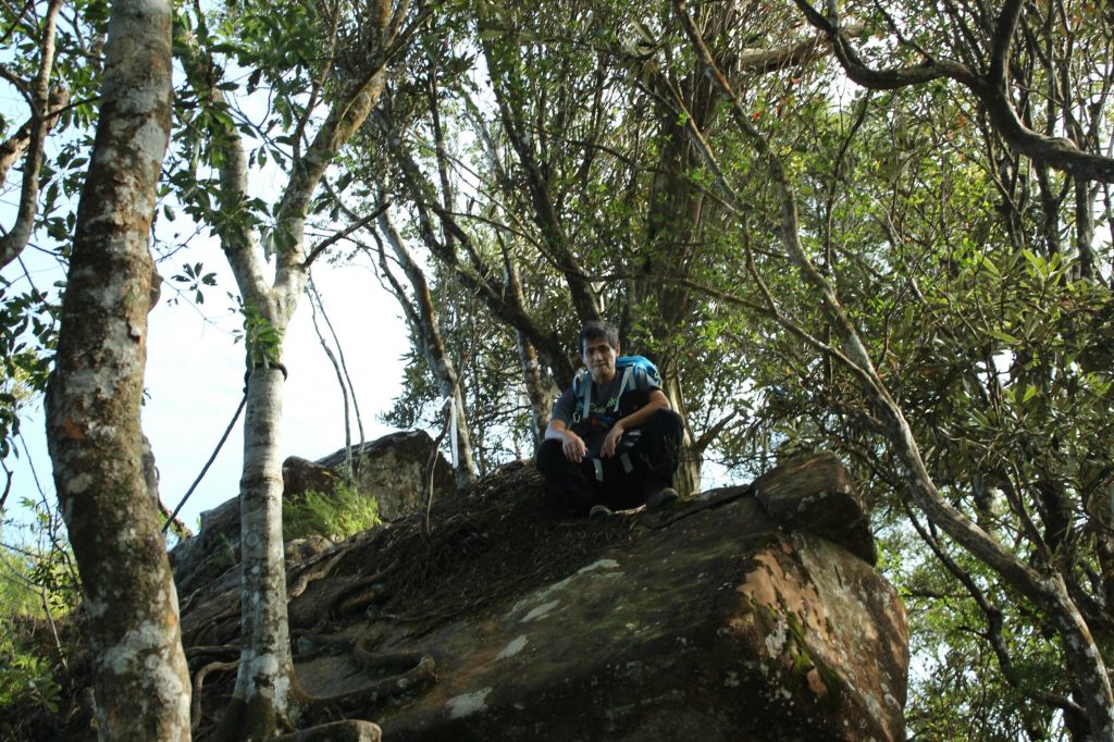 105.11.19 新竹內鳥嘴山之山毛櫸_190936