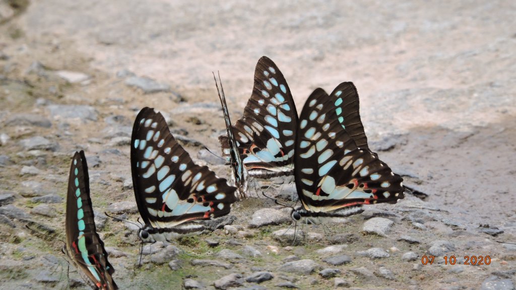 就是喜歡這個藍天白雲的FU_1028438