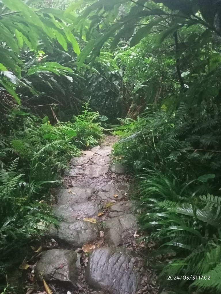 【臺北大縱走 6】中華科大→捷運麟光站、【小百岳集起來】#013 南港山 H375m_2470680